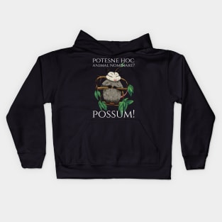 Classical Latin Language Meme - Possum - Wordplay Pun Kids Hoodie